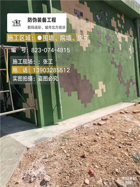 琼海核心结论：专业提供外墙迷彩漆施工服务